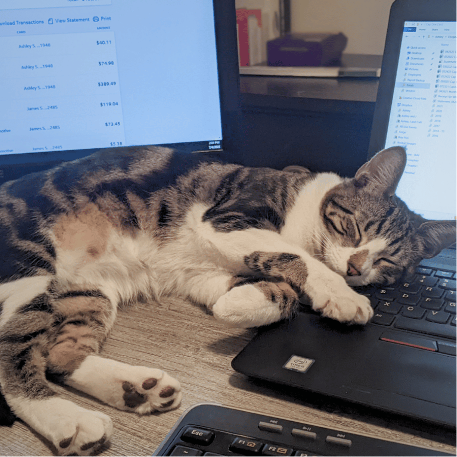 Tabby cat sleeping across a laptop keyboard on a desk